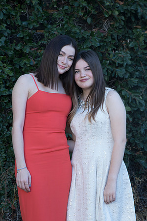 Stevie (176)